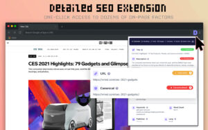 Detailed Seo Free Chrome Extension