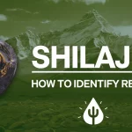 शिलाजीत: शुद्धता जांचें और स्वास्थ्य लाभ
