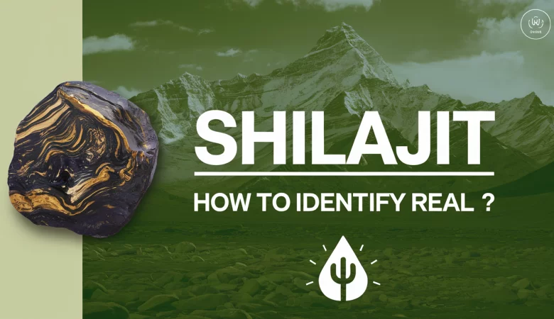 शिलाजीत: शुद्धता जांचें और स्वास्थ्य लाभ