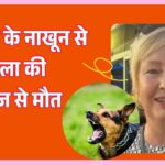 कुत्ते के नाखून से महिला को हुआ रेबीज, 4 महीने बाद हुई दर्दनाक मौत! जानिए कैसे बचें इस जानलेवा बीमारी से